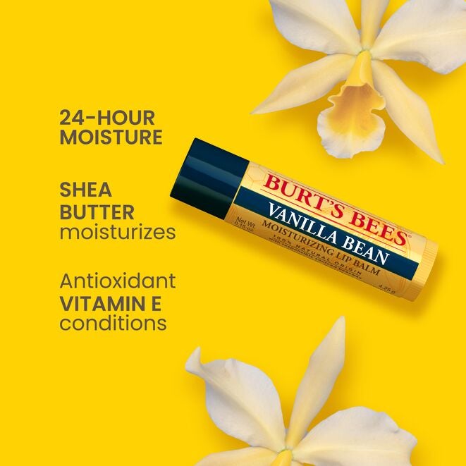 Best of Burt's Lip Balm 4-Pack